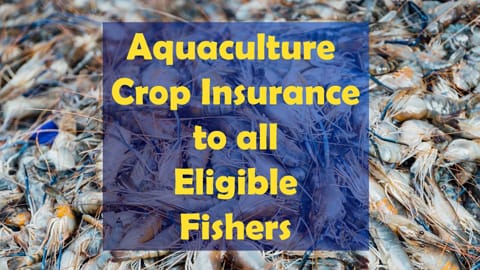 Aqua Culture Crop Insurance to all Eligible Fishers | மீன் வளர்ப்பு பயிர் காப்பீடு