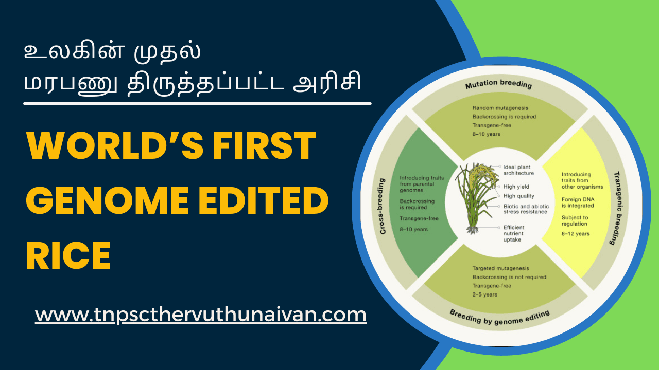 Worlds First Genome Edited Rice | மரபணு திருத்தப்பட்ட அரிசி
