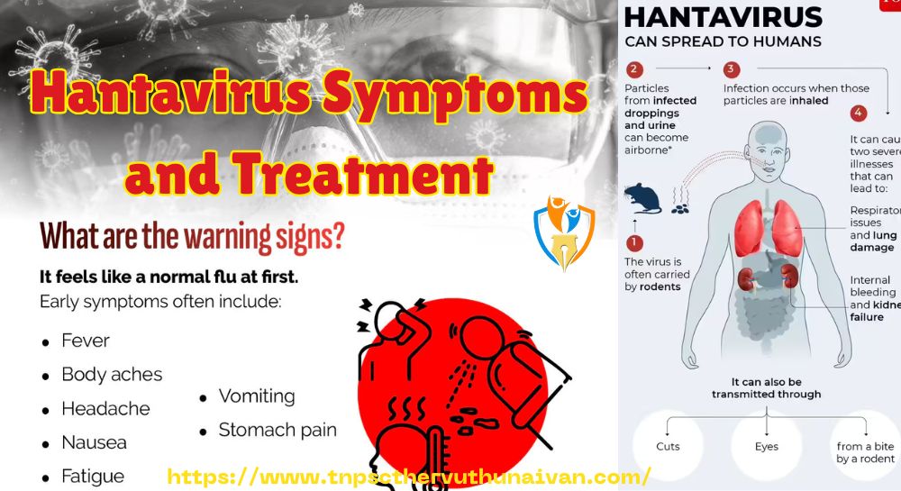 Hantavirus