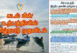 மீன் உற்பத்தியில் தமிழ்நாடு முதலிடம்: குஜராத்தை பின்னுக்குத் தள்ளி புதிய சாதனை!