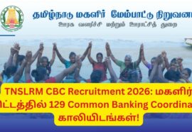 TNSLRM CBC Recruitment 2026: மகளிர் திட்டத்தில் 129 Common Banking Coordinator காலியிடங்கள்!